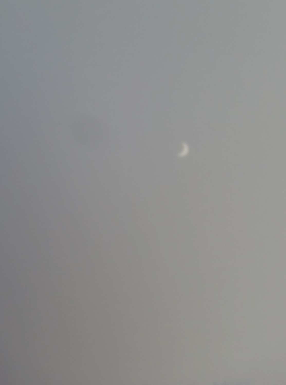 gray with pale moon