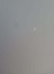 gray with pale moon