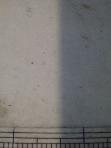gray with shadow